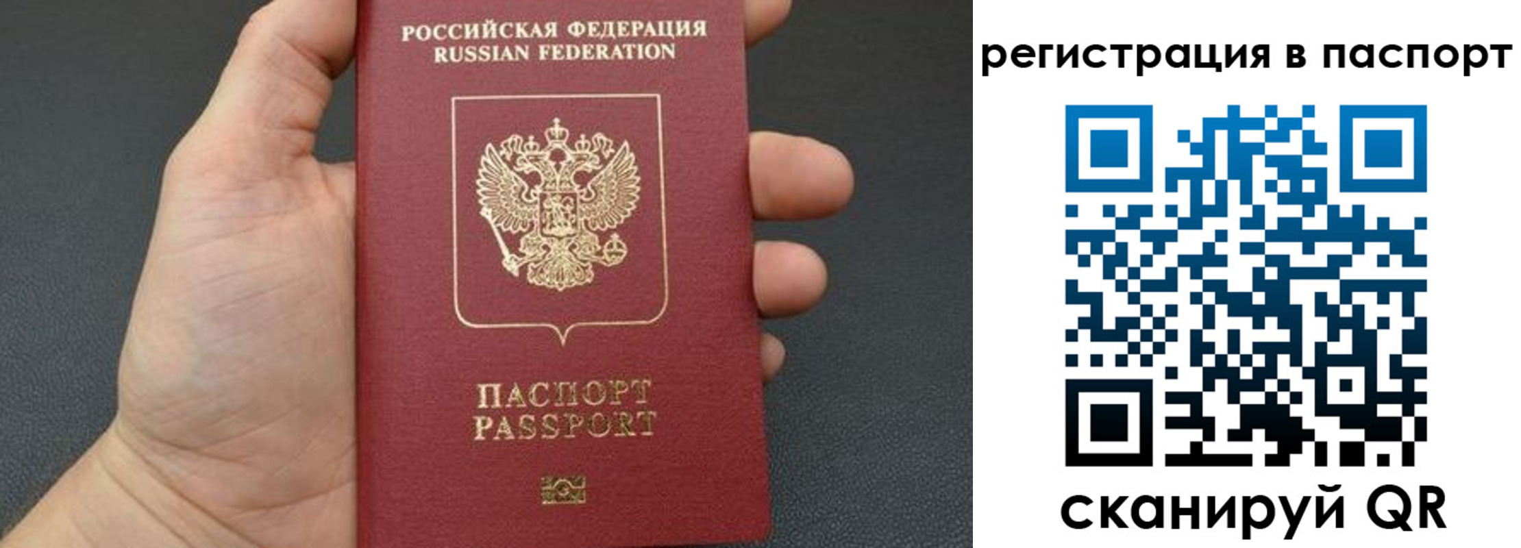 прописка 2025 в Новосибирске